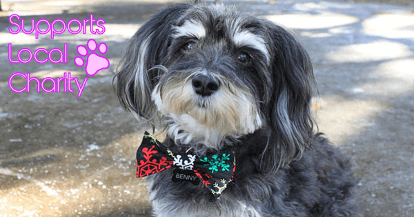 Bow Tie Benny launches charity line for dogs