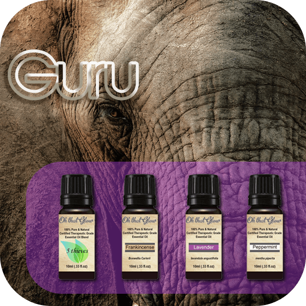 Guru Essential Oils Kit