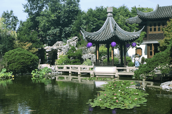 Portland Vegan Travel Guide | Lan Su Chinese Garden