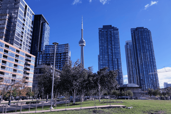 Toronto Vegan City Guide | Travel Photo 1