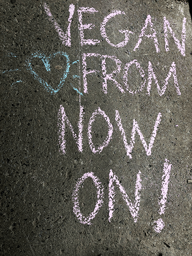 Blackboard with pink chalk lettering that reads "Vegan from now on!"